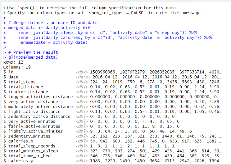 Fitbit dataset preview