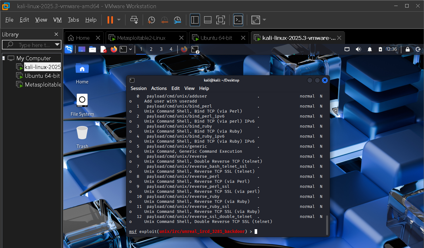 Metasploit payload configuration