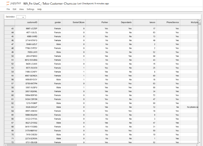 Telco dataset preview